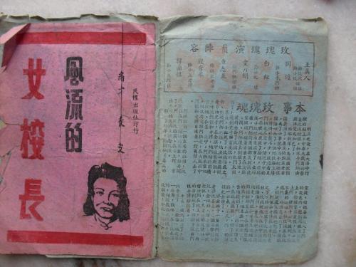 布林莫尔学院Diploma in Finance